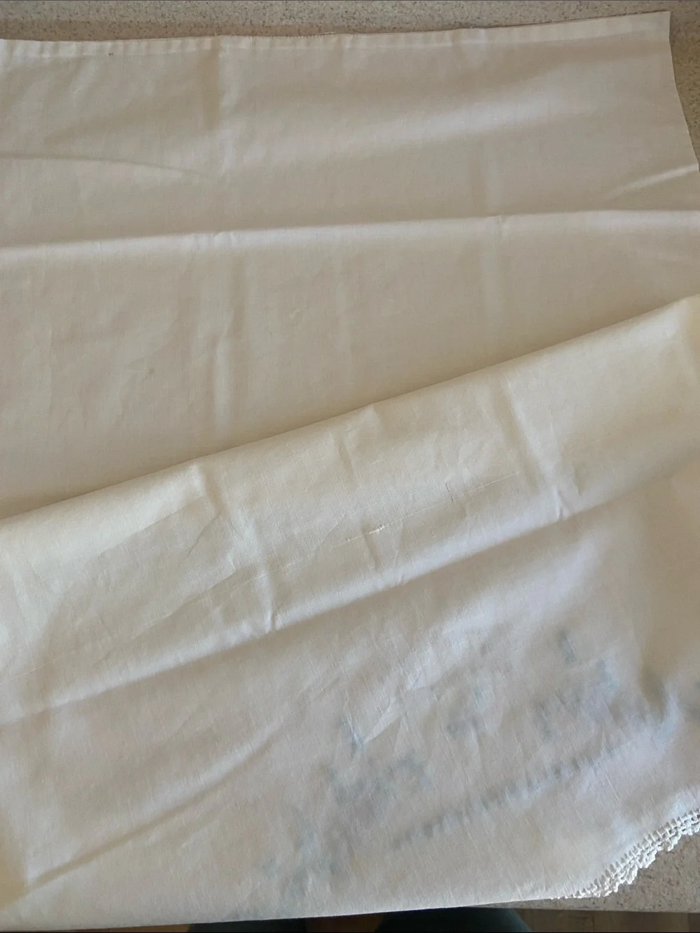 Vintage White Embroidered HIS and HERS Pillow Shams with Blue Floral Accents